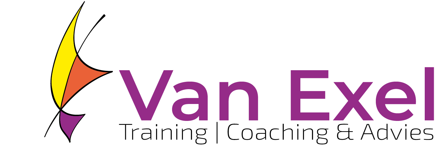 Logo Van Exel Training | Coaching & Advies